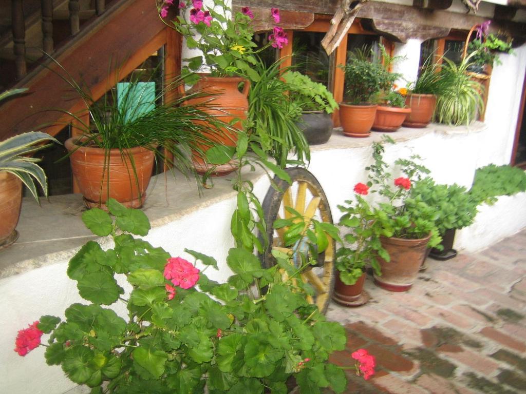 Dedo Pene Inn Bansko Bagian luar foto